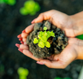 Инженерные биологические системы: междисциплинарное образование в школах - fgospostavki.ru - Балахна