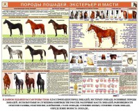 Комплект плакатов "Служебное коневодство" - fgospostavki.ru - Балахна