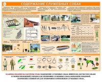 Комплект плакатов "Кинология" - fgospostavki.ru - Балахна