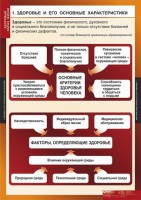 Комплект таблиц. ОБЖ. Здоровый образ жизни. - fgospostavki.ru - Балахна