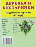 Раздаточные карточки "Деревья и кустарники" - fgospostavki.ru - Балахна