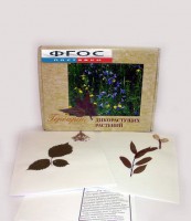Гербарий "Дикорастущие растения" (28 видов) - fgospostavki.ru - Балахна