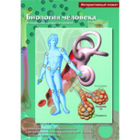Интерактивные плакаты. Биология человека. Программно-методический комплекс - fgospostavki.ru - Балахна