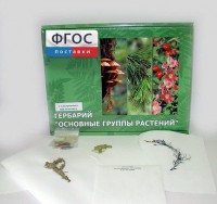 Гербарий "Основные группы растений" (52 листа) - fgospostavki.ru - Балахна