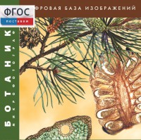 Ботаника. Микрофотографии. (Цифровая база изображений) - fgospostavki.ru - Балахна