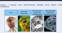 Интерактивные курсы. Биология 5 класс. Расширенный - fgospostavki.ru - Балахна
