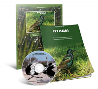 Электронное наглядное пособие «Птицы» - fgospostavki.ru - Балахна