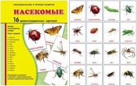 Демонстрационные карточки "Насекомые" - fgospostavki.ru - Балахна