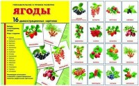 Демонстрационные карточки "Ягоды" - fgospostavki.ru - Балахна