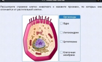 Интерактивные курсы. Биология 8 класс. Базовый - fgospostavki.ru - Балахна
