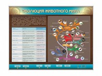 Интерактивный электрифицированный стенд "Эволюция животного мира" - fgospostavki.ru - Балахна