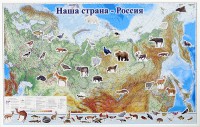 Магнитные карточки "Животные" - fgospostavki.ru - Балахна
