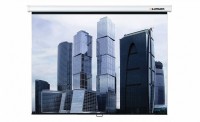 Настенный проекционный экран Lumien Eco Picture (LEP-100102) 180х180 см - fgospostavki.ru - Балахна