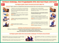 Таблица "Порядок действий при внезапной смерти" (100х140 сантиметров, винил) - fgospostavki.ru - Балахна