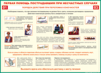 Таблица "Порядок действий при переломах конечностей" (100х140 сантиметров, винил) - fgospostavki.ru - Балахна