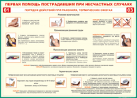 Таблица "Порядок действий при ранениях и термических ожогах" (100х140 сантиметров, винил) - fgospostavki.ru - Балахна