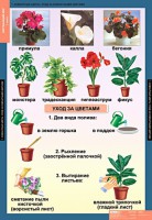 Комплект таблиц. Окружающий мир 1 класс. - fgospostavki.ru - Балахна