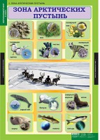 Комплект таблиц. Окружающий мир 4 класс. - fgospostavki.ru - Балахна
