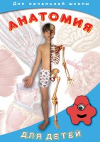 DVD "Анатомия для детей" - fgospostavki.ru - Балахна