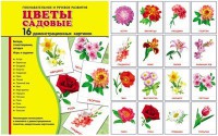Демонстрационные карточки "Цветы садовые" - fgospostavki.ru - Балахна