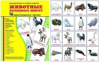 Демонстрационные карточки "Животные холодных широт" - fgospostavki.ru - Балахна
