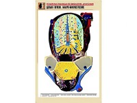 Рельефная таблица "Долька печени. Макро-микростроение" (формат А1, матовое ламинирование) - fgospostavki.ru - Балахна