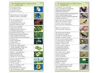 Комплект карточек (10) "Обучающий калейдоскоп. Природа" - fgospostavki.ru - Балахна