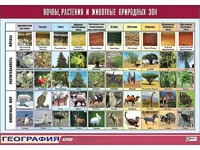 Таблица демонстрационная "Почвы, растения и животные природных зон" (винил 70*100) - fgospostavki.ru - Балахна