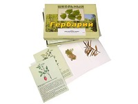 Гербарий "Для начальной школы" (30 видов, с иллюстрациями) - fgospostavki.ru - Балахна