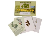 Гербарий "Деревья и кустарники" (22 вида, с иллюстрациями) - fgospostavki.ru - Балахна