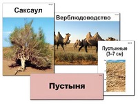 Модель-аппликация "Природные зоны России" (ламинированная) - fgospostavki.ru - Балахна
