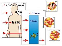 Модель-аппликация "Явление радиоактивности" (ламинированная) - fgospostavki.ru - Балахна
