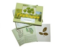 Гербарий "Дикорастущие растения" (30 видов, с иллюстрациями) - fgospostavki.ru - Балахна