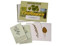 Гербарий "Лекарственные растения" (22 вида с иллюстрациями) - fgospostavki.ru - Балахна