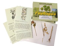 Гербарий "Систематика растений. Семейство Бобовые. Злаки" (раздаточный) - fgospostavki.ru - Балахна