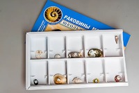 Коллекция "Раковины моллюсков" - fgospostavki.ru - Балахна