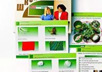 Коллекция "Шелк и продукты его переработки" (средняя школа) - fgospostavki.ru - Балахна