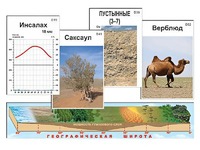 Модель-аппликация "Природные зоны" - fgospostavki.ru - Балахна