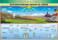 Таблица "Возникновение жизни на земле" (100х140 сантиметров, винил) - fgospostavki.ru - Балахна