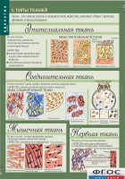 Комплект таблиц. Биология 8-9 класс. Человек. - fgospostavki.ru - Балахна