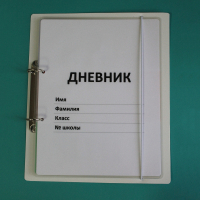 Дневник школьника (с полным набором карточек) - fgospostavki.ru - Балахна