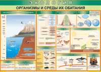Таблица "Организмы и среды их обитания" (100х140 сантиметров, винил) - fgospostavki.ru - Балахна
