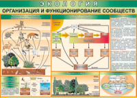 Таблица "Организация и функционирование сообществ" (100х140 сантиметров, винил) - fgospostavki.ru - Балахна