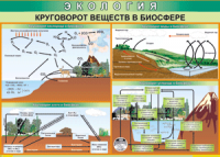 Таблица "Круговорот веществ в биосфере" (100х140 сантиметров, винил) - fgospostavki.ru - Балахна