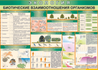 Таблица "Биотические взаимоотношения организмов" (100х140 сантиметров, винил) - fgospostavki.ru - Балахна