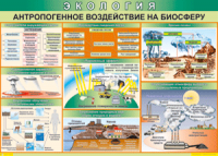 Таблица "Антропогенное воздействие на биосферу" (100х140 сантиметров, винил) - fgospostavki.ru - Балахна