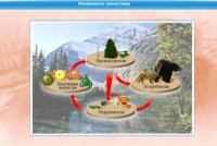 Интерактивные курсы. Биология 7 класс. Базовый. - fgospostavki.ru - Балахна