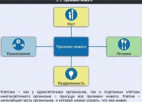 Интерактивные курсы. Биология 5 класс. Базовый - fgospostavki.ru - Балахна
