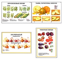 Плакаты ПРОФТЕХ "Ассортимент овощных культур" (12 пл, винил, 70х100) - fgospostavki.ru - Балахна