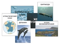 Модель-аппликация "Океаны. Знакомство" (ламинированная) - fgospostavki.ru - Балахна